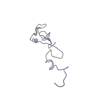 3461_5mc6_f_v1-3
Cryo-EM structure of a native ribosome-Ski2-Ski3-Ski8 complex from S. cerevisiae