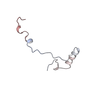 3461_5mc6_g_v1-3
Cryo-EM structure of a native ribosome-Ski2-Ski3-Ski8 complex from S. cerevisiae