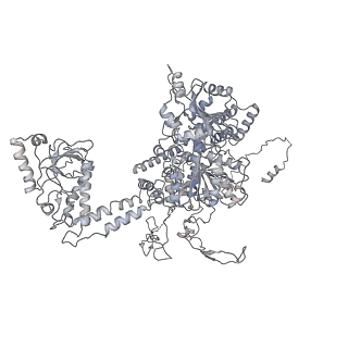 3461_5mc6_h_v1-3
Cryo-EM structure of a native ribosome-Ski2-Ski3-Ski8 complex from S. cerevisiae