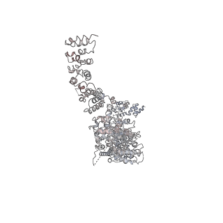 3461_5mc6_i_v1-3
Cryo-EM structure of a native ribosome-Ski2-Ski3-Ski8 complex from S. cerevisiae