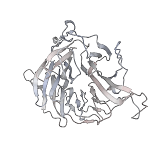 3461_5mc6_j_v1-3
Cryo-EM structure of a native ribosome-Ski2-Ski3-Ski8 complex from S. cerevisiae