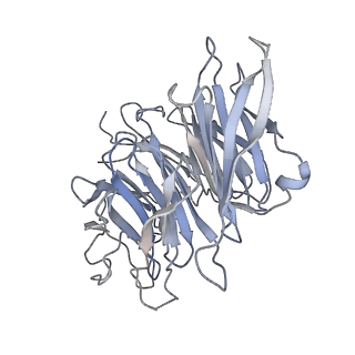 3461_5mc6_k_v1-3
Cryo-EM structure of a native ribosome-Ski2-Ski3-Ski8 complex from S. cerevisiae