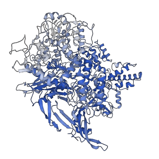 9066_6mcb_A_v1-2
CryoEM structure of AcrIIA2 in complex with CRISPR-Cas9