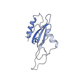 9066_6mcb_C_v1-2
CryoEM structure of AcrIIA2 in complex with CRISPR-Cas9