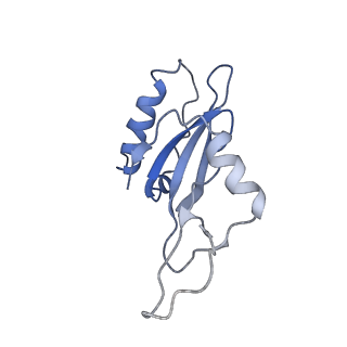 9066_6mcb_C_v1-3
CryoEM structure of AcrIIA2 in complex with CRISPR-Cas9