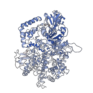 9067_6mcc_A_v1-2
CryoEM structure of AcrIIA2 homolog in complex with CRISPR-Cas9