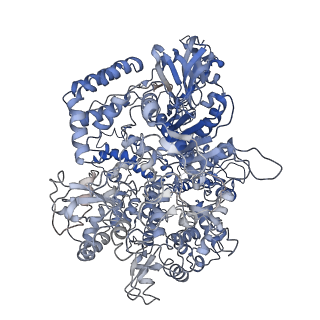 9067_6mcc_A_v1-3
CryoEM structure of AcrIIA2 homolog in complex with CRISPR-Cas9