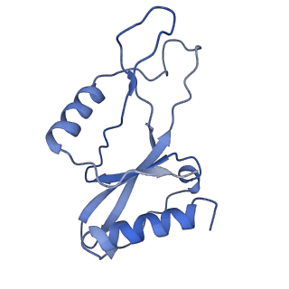 9067_6mcc_C_v1-2
CryoEM structure of AcrIIA2 homolog in complex with CRISPR-Cas9