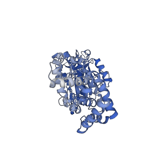 23763_7md2_A_v1-0
The F1 region of ammocidin-bound Saccharomyces cerevisiae ATP synthase