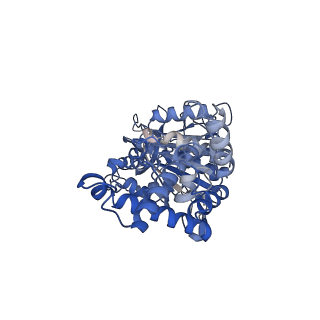 23763_7md2_D_v1-0
The F1 region of ammocidin-bound Saccharomyces cerevisiae ATP synthase