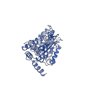 23763_7md2_E_v1-0
The F1 region of ammocidin-bound Saccharomyces cerevisiae ATP synthase