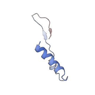 23763_7md2_H_v1-0
The F1 region of ammocidin-bound Saccharomyces cerevisiae ATP synthase