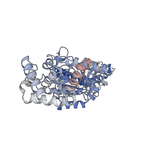 23764_7md3_B_v1-0
The F1 region of apoptolidin-bound Saccharomyces cerevisiae ATP synthase