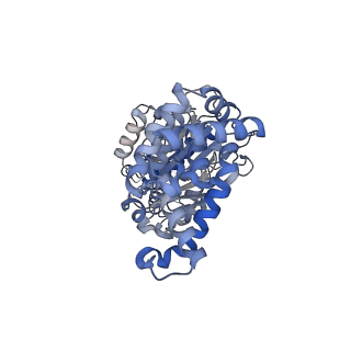 23764_7md3_C_v1-0
The F1 region of apoptolidin-bound Saccharomyces cerevisiae ATP synthase