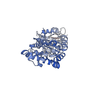 23764_7md3_D_v1-0
The F1 region of apoptolidin-bound Saccharomyces cerevisiae ATP synthase