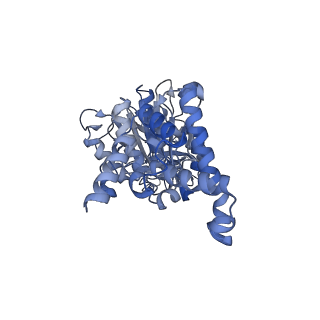 23764_7md3_F_v1-0
The F1 region of apoptolidin-bound Saccharomyces cerevisiae ATP synthase