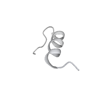 23766_7md4_P_v1-1
Insulin receptor ectodomain dimer complexed with two IRPA-3 partial agonists