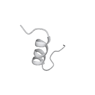 23766_7md4_R_v1-1
Insulin receptor ectodomain dimer complexed with two IRPA-3 partial agonists