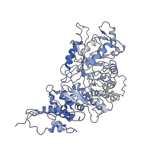 23773_7mdi_A_v1-0
Structure of the Neisseria gonorrhoeae ribonucleotide reductase in the inactive state