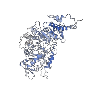 23773_7mdi_B_v1-0
Structure of the Neisseria gonorrhoeae ribonucleotide reductase in the inactive state