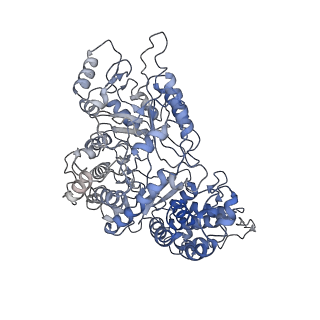 23773_7mdi_C_v1-0
Structure of the Neisseria gonorrhoeae ribonucleotide reductase in the inactive state