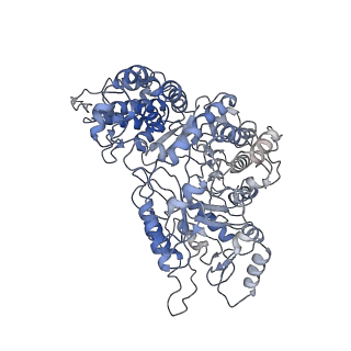 23773_7mdi_D_v1-0
Structure of the Neisseria gonorrhoeae ribonucleotide reductase in the inactive state