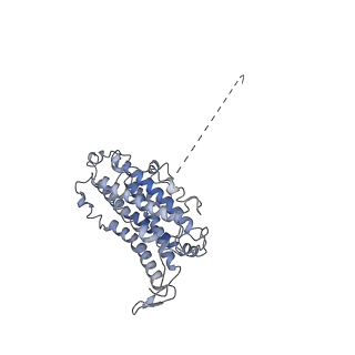 23773_7mdi_F_v1-0
Structure of the Neisseria gonorrhoeae ribonucleotide reductase in the inactive state