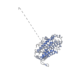 23773_7mdi_G_v1-0
Structure of the Neisseria gonorrhoeae ribonucleotide reductase in the inactive state