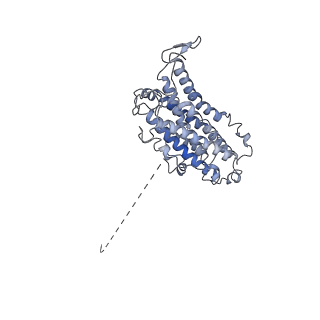 23773_7mdi_H_v1-0
Structure of the Neisseria gonorrhoeae ribonucleotide reductase in the inactive state