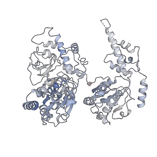23775_7mdm_A_v1-2
Structure of human p97 ATPase L464P mutant
