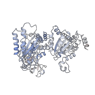 23775_7mdm_B_v1-2
Structure of human p97 ATPase L464P mutant