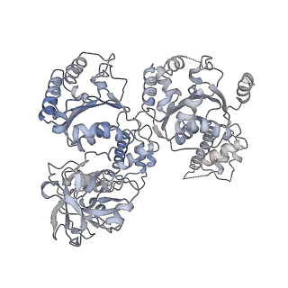 23775_7mdm_C_v1-2
Structure of human p97 ATPase L464P mutant