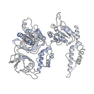 23775_7mdm_D_v1-2
Structure of human p97 ATPase L464P mutant