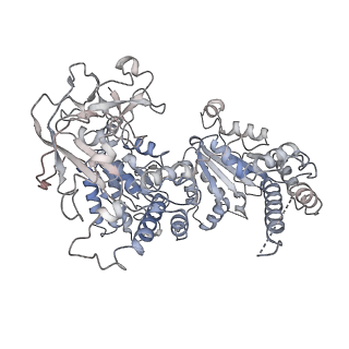23775_7mdm_E_v1-2
Structure of human p97 ATPase L464P mutant
