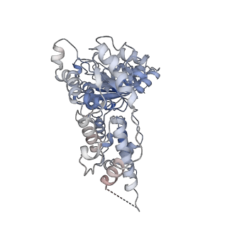 23776_7mdo_E_v1-2
Structure of human p97 ATPase L464P mutant