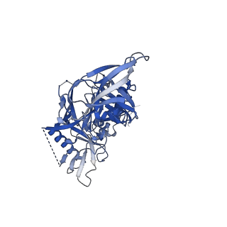 23779_7mdt_A_v1-1
BG505 SOSIP.v5.2 in complex with the monoclonal antibody Rh4O9.8 (as Fab fragment)