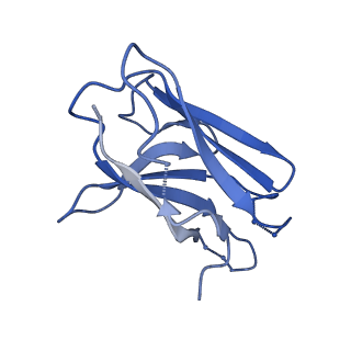 23779_7mdt_L_v1-1
BG505 SOSIP.v5.2 in complex with the monoclonal antibody Rh4O9.8 (as Fab fragment)