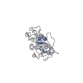 23783_7mdx_B_v1-0
LolCDE nucleotide-free