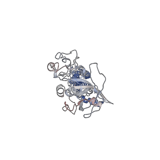 23783_7mdx_B_v2-0
LolCDE nucleotide-free
