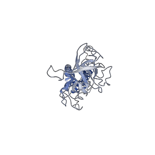 23784_7mdy_A_v1-1
LolCDE nucleotide-bound