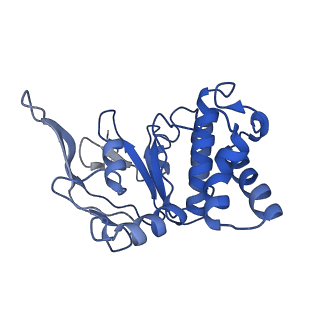 23784_7mdy_C_v1-1
LolCDE nucleotide-bound