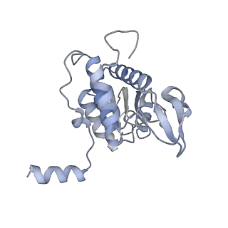 23785_7mdz_AA_v1-1
80S rabbit ribosome stalled with benzamide-CHX