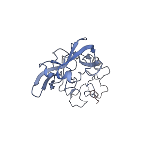 23785_7mdz_A_v1-1
80S rabbit ribosome stalled with benzamide-CHX