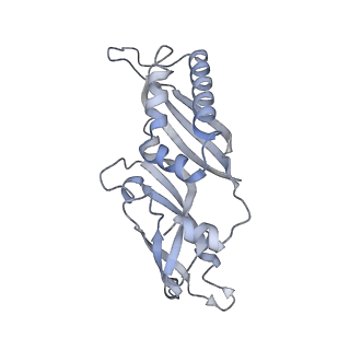 23785_7mdz_BB_v1-1
80S rabbit ribosome stalled with benzamide-CHX