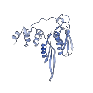 23785_7mdz_CC_v1-1
80S rabbit ribosome stalled with benzamide-CHX