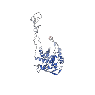 23785_7mdz_C_v1-1
80S rabbit ribosome stalled with benzamide-CHX