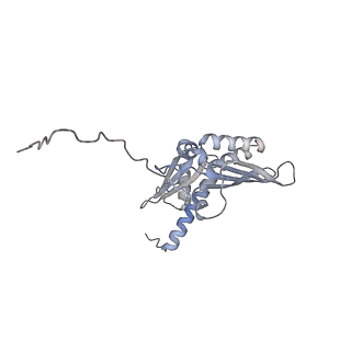 23785_7mdz_DD_v1-1
80S rabbit ribosome stalled with benzamide-CHX