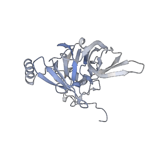23785_7mdz_EE_v1-1
80S rabbit ribosome stalled with benzamide-CHX