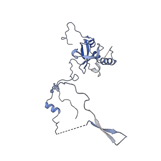 23785_7mdz_E_v1-1
80S rabbit ribosome stalled with benzamide-CHX