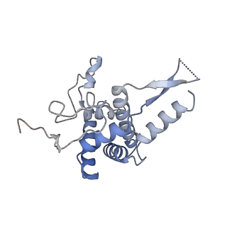 23785_7mdz_FF_v1-1
80S rabbit ribosome stalled with benzamide-CHX